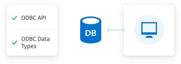 Diagram showing a computer connected to a database, with checkmarks indicating support for ODBC API and Data Types.